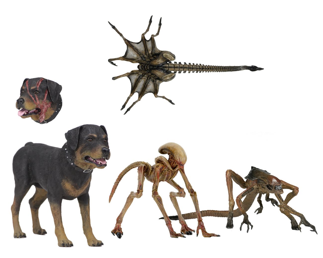 Alien Creature Collection Accessory Pack From Alien 3
