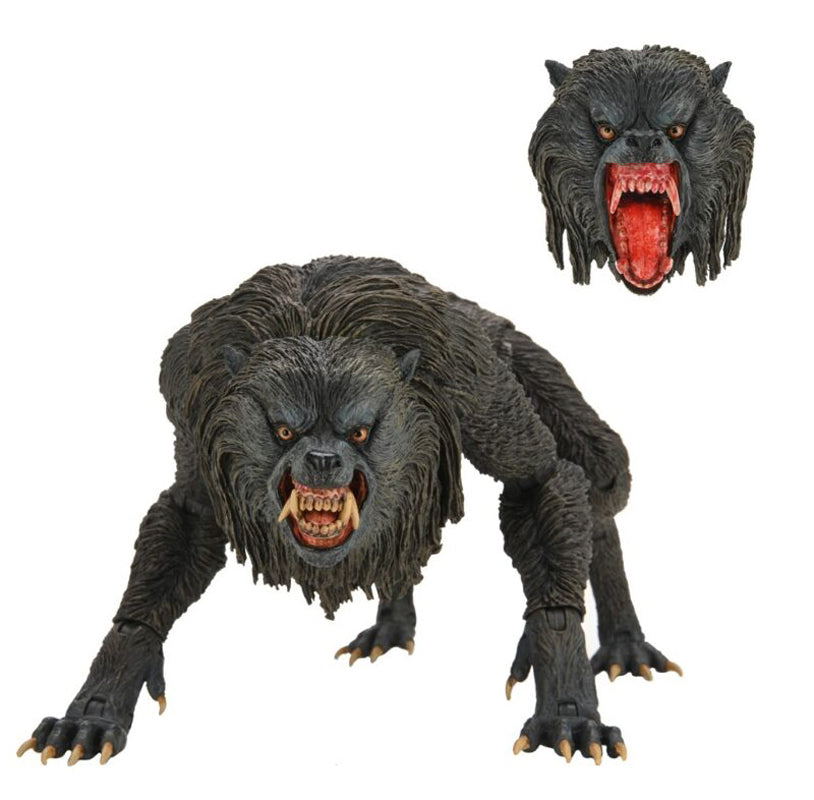 Ultimate Kessler Wolf Figure From An American Werewolf In London