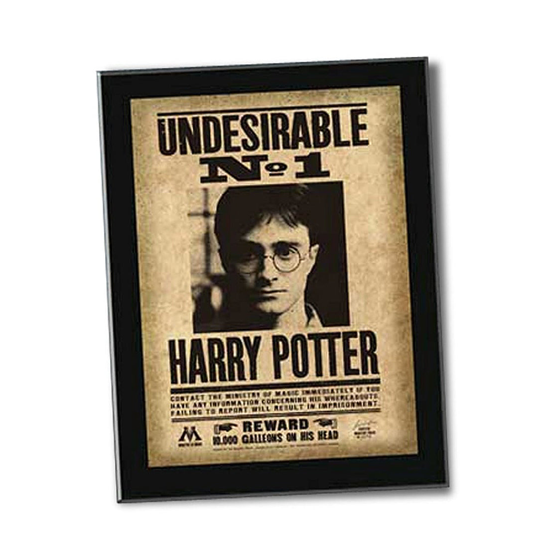 Harry Potter Undesirable Wall Plaque From Harry Potter