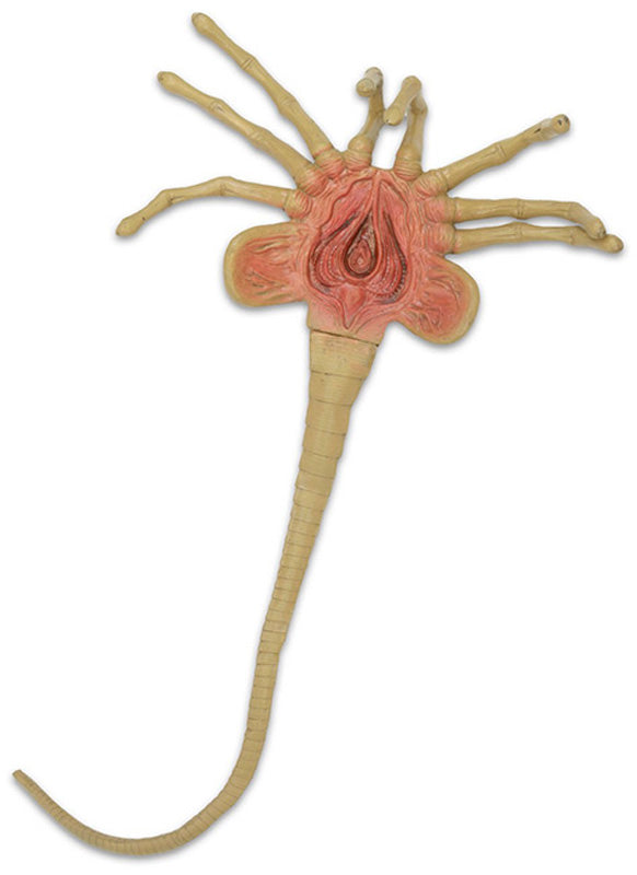 Facehugger Lifesize Foam Replica From Alien