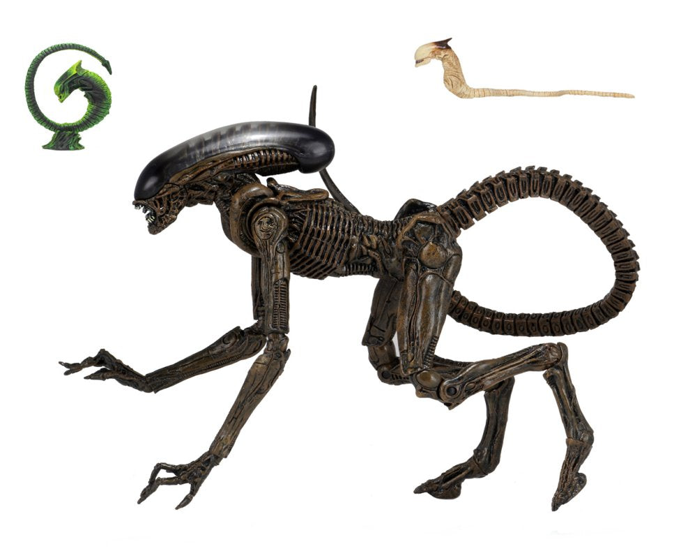 Dog Alien Ultimate Edition Poseable Figure From Alien 3