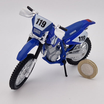 Yamaha TTR 250 in Blue
